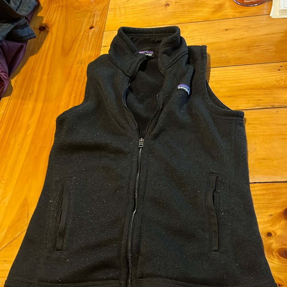 Patagonia vest